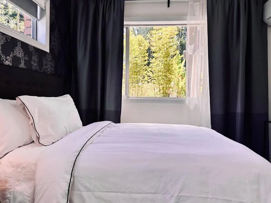 Lejlighed Conifer - Your Private Resort Pool Retreat Gold Coast